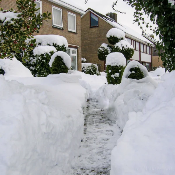 Weeronline waarschuwt voor nieuwe extreme sneeuwbuien in vijf provincies
