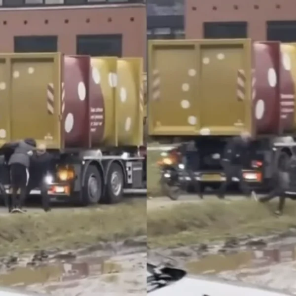 Vrachtwagenchauffeur gooit vervelende fietser de sloot in