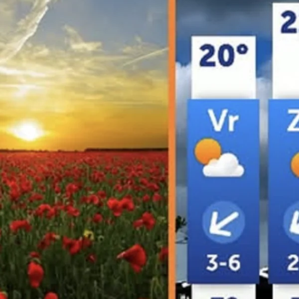 De zomer begint vroeg dit jaar: H&eacute;&eacute;l erg warm weer op komst!