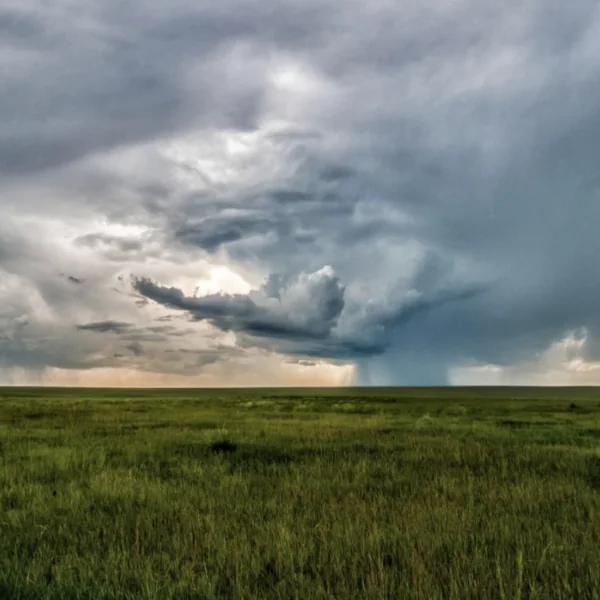 KMI ziet het weer volledig omslaan in de foute richting